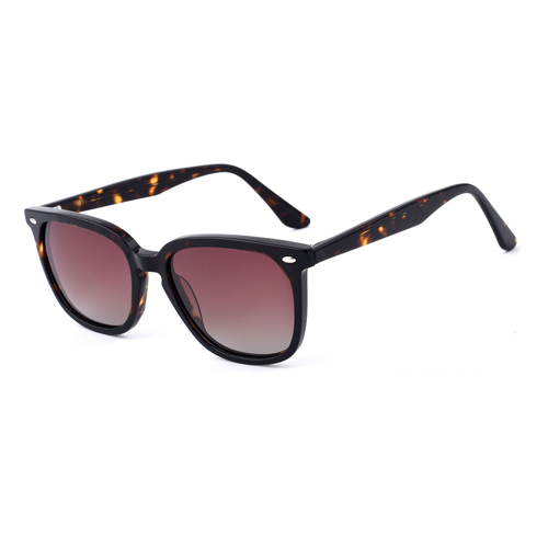 GS5806 Acetate Sunglasses