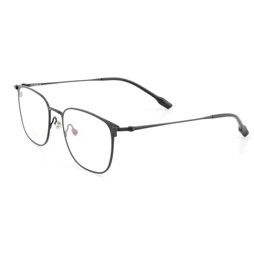 HM5019 Pure Titanium Frame